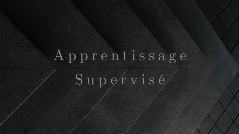 Lire la suite à propos de l’article Apprentissage Supervisé : Infographies Bonus