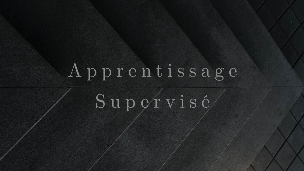 You are currently viewing Apprentissage Supervisé : Infographies Bonus