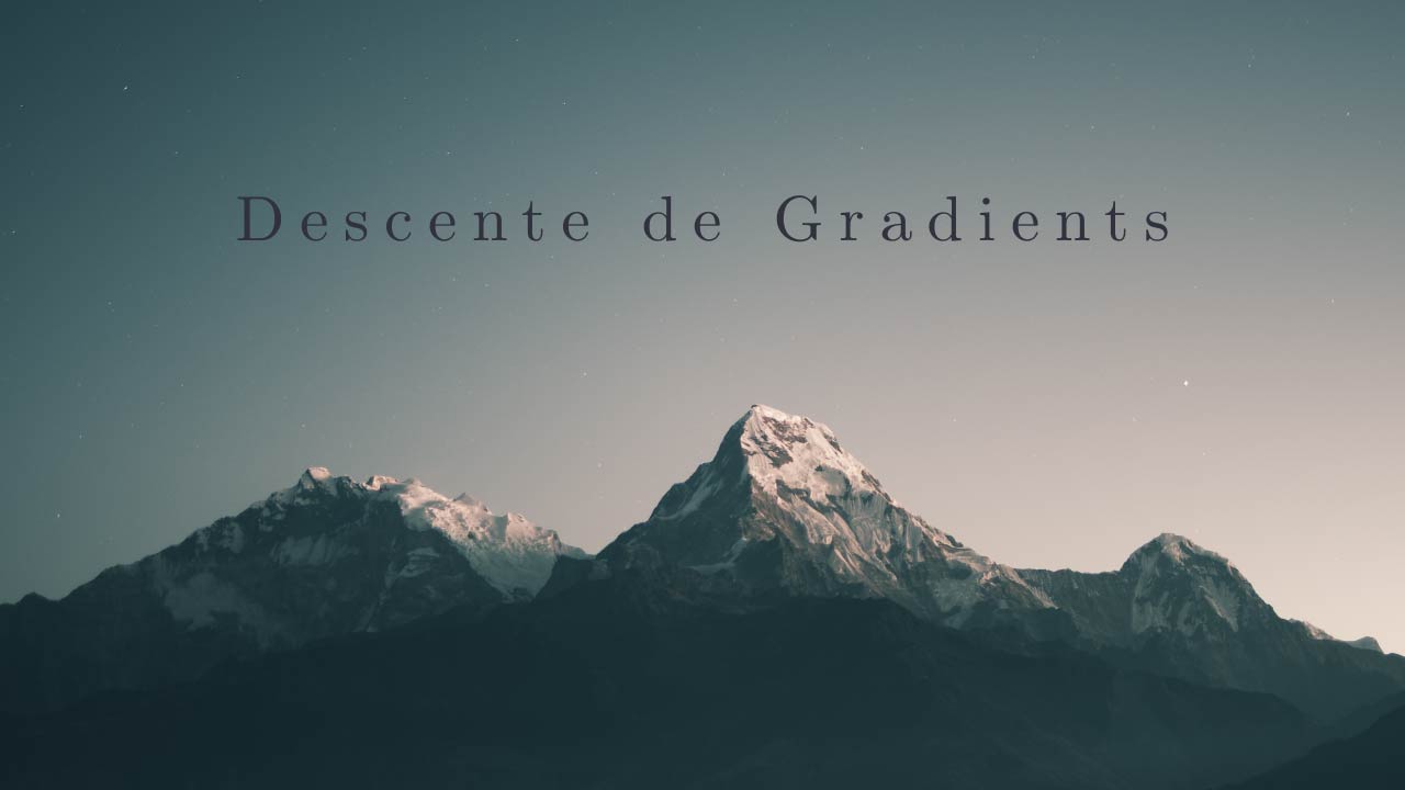 You are currently viewing Comprendre la Descente de Gradient